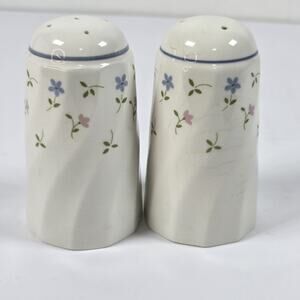Johnson Brothers Melody pattern salt and pepper shakers England
